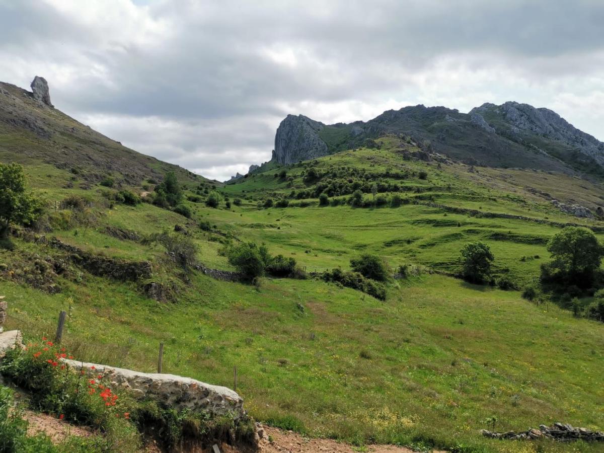 Vivienda Turistica Cueto Larama Vut-Le-860 Villa Villafeliz Eksteriør bilde